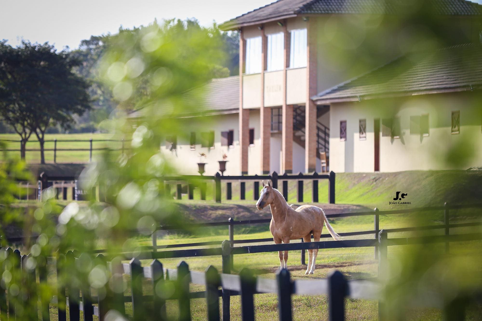 Haras Tarlim