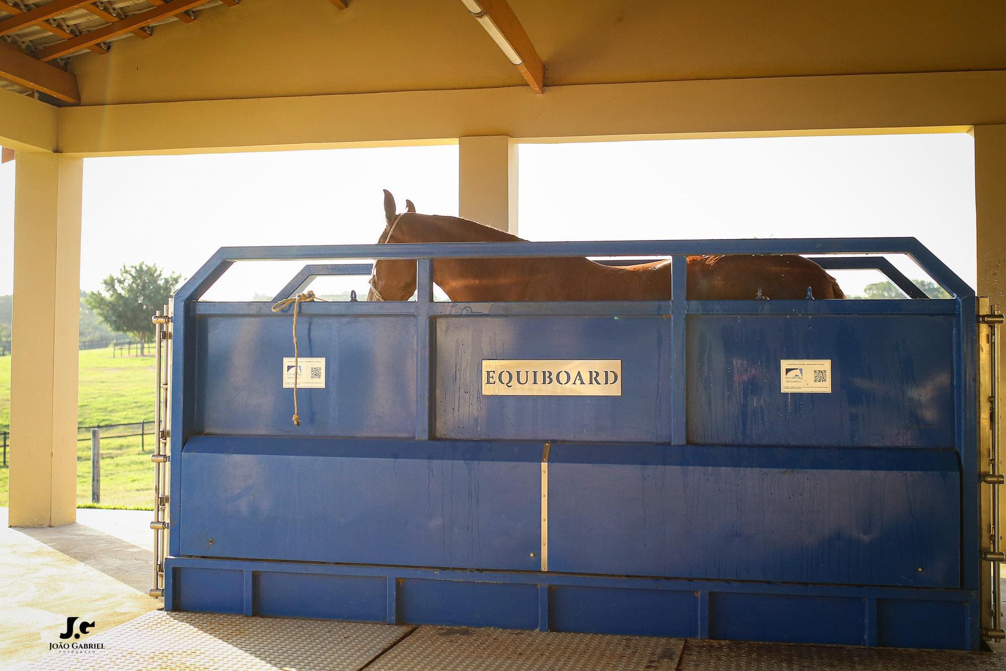 Haras Tarlim