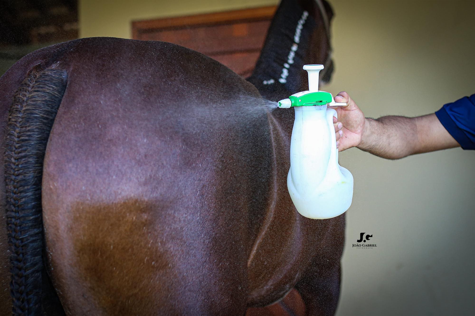 Haras Tarlim