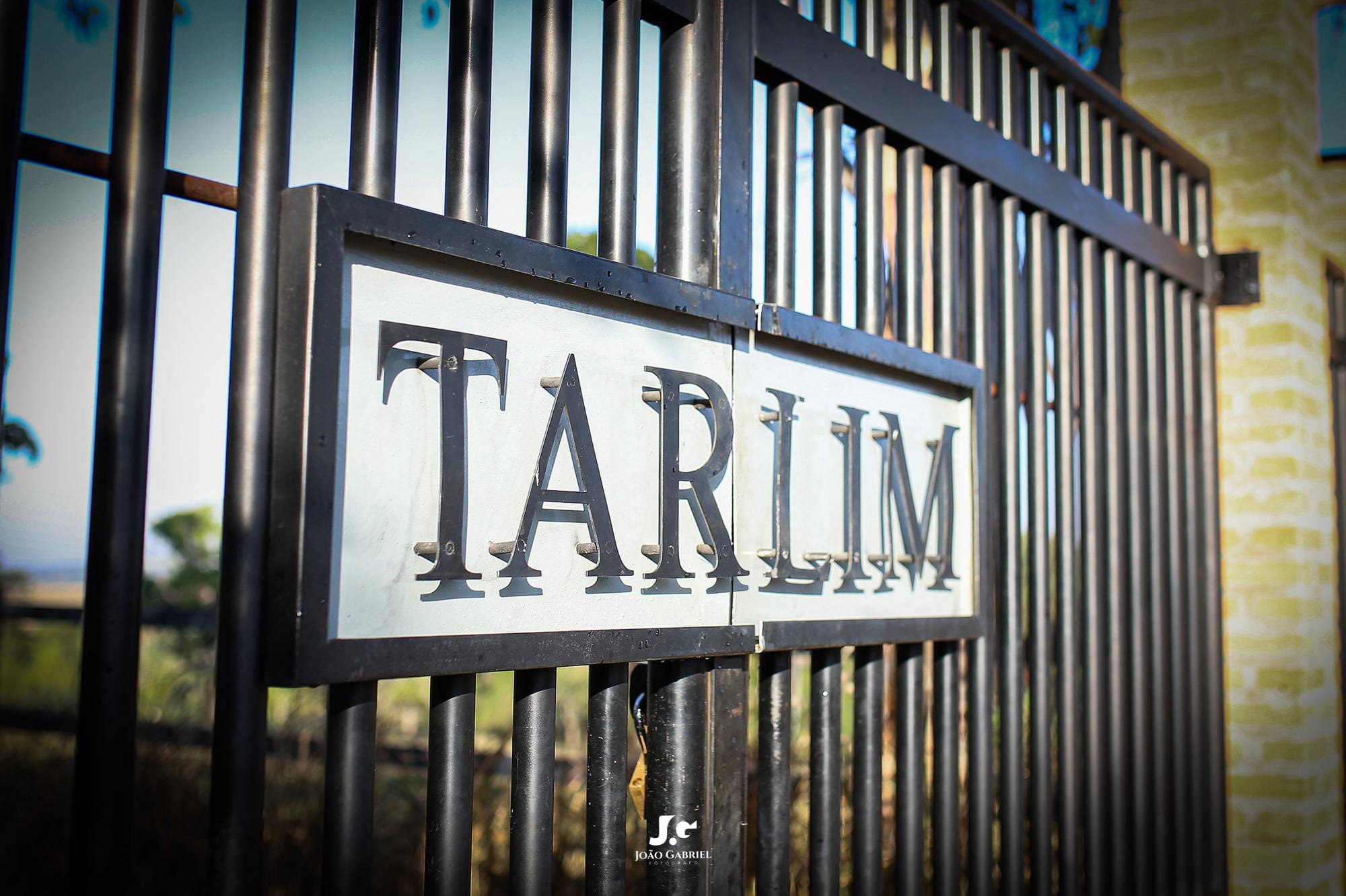 Haras Tarlim