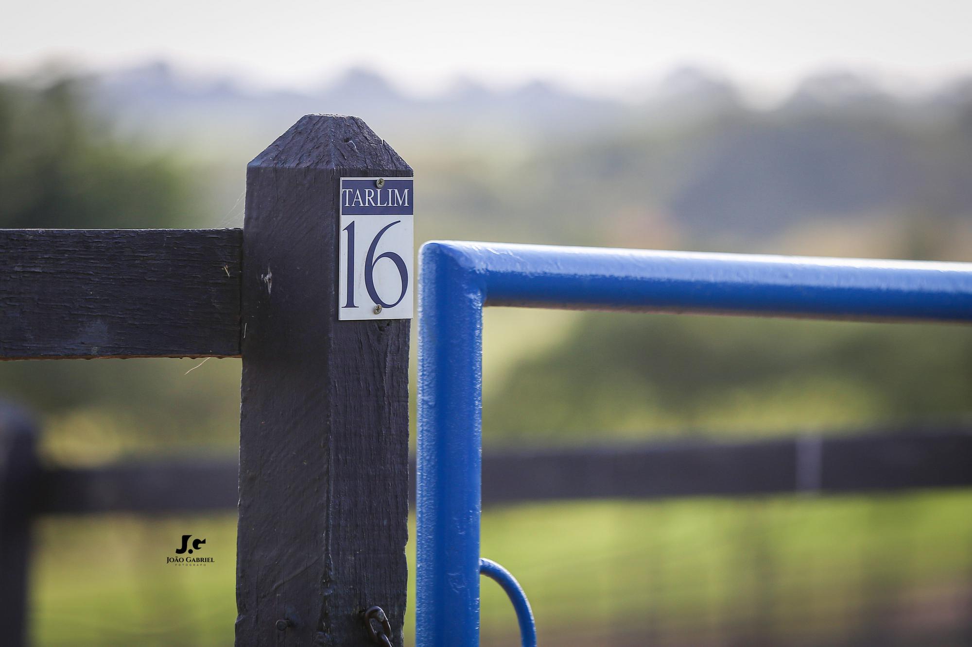 Haras Tarlim