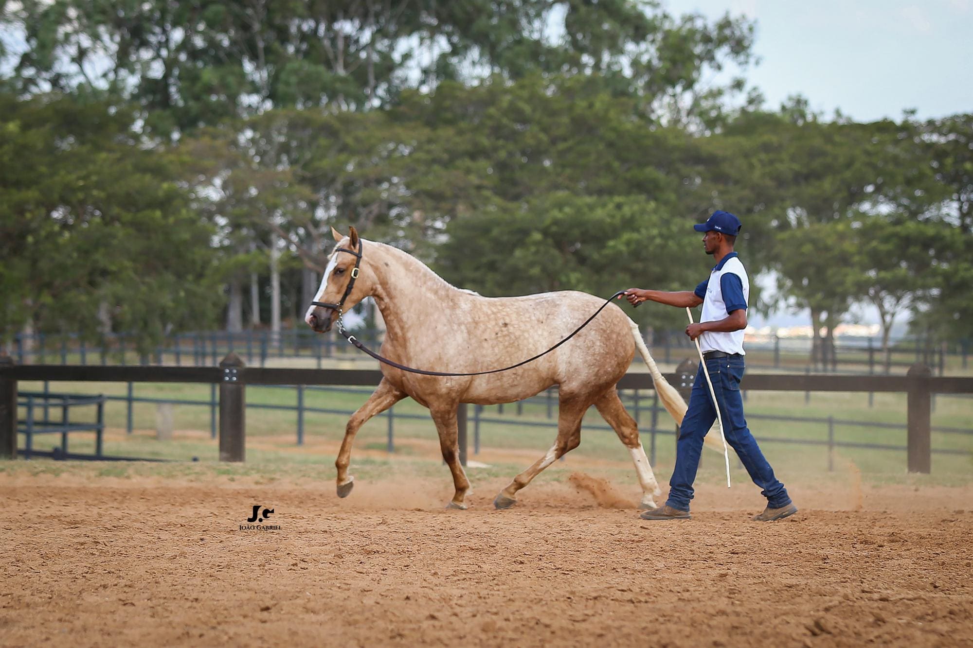 Haras Tarlim
