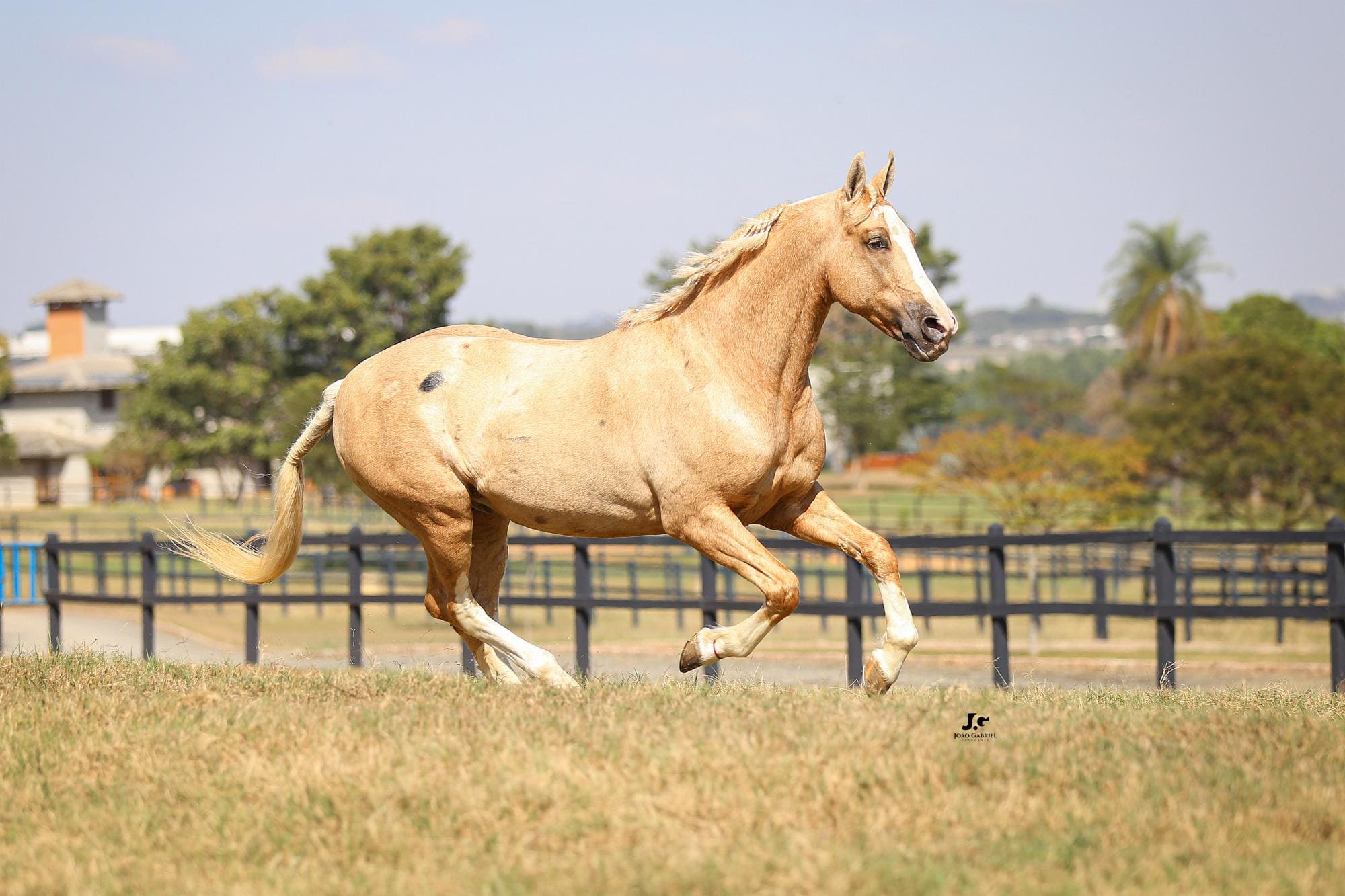 Haras Tarlim